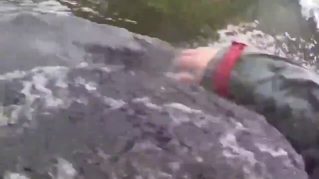 Приколы - Кто говорил, что рыбалка - это просто смотреть онлайн