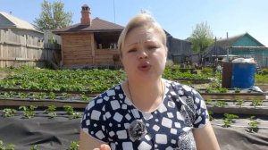 СТРАХИ и СОМНЕНИЯ. НЕМНОГО ПРО ИНДЮШАТ.