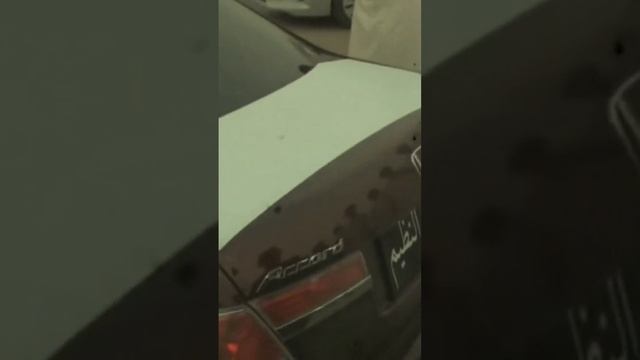 اخخخ يا كنق النظيم ?? смотреть онлайн
