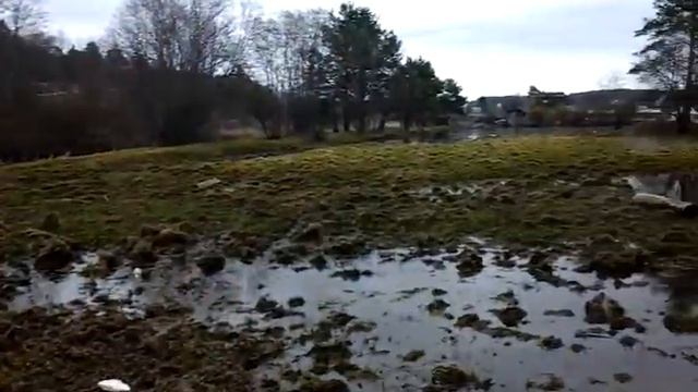 Река Пышма смотреть онлайн