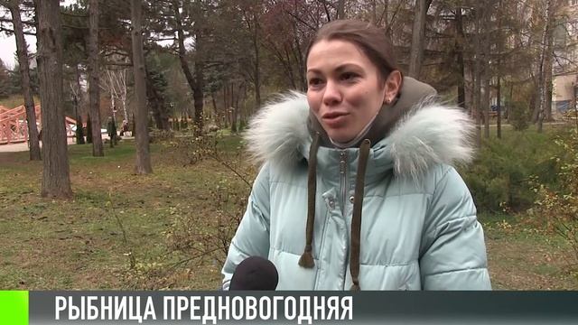 Эко-елки в Рыбнице смотреть онлайн