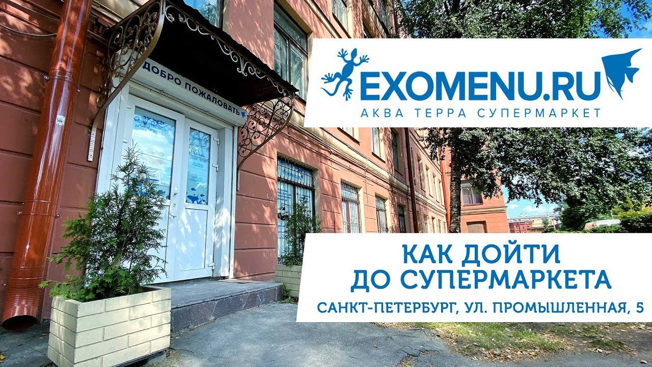 Как дойти до супермаркета EXOMENU.RU на ул. Промышленной, 5 смотреть онлайн