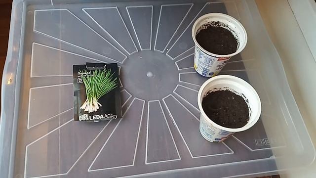 ЛУК БАТУН - ЗЕЛЕНЫЙ ЛУК НА ПЕРО смотреть онлайн