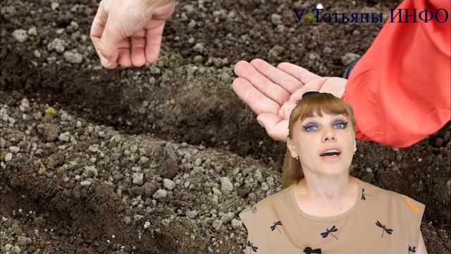 Что сажать и сеять в ИЮЛЕ на огороде? смотреть онлайн