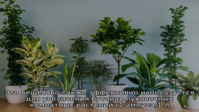 Циркон удобрение инструкция к применению смотреть онлайн
