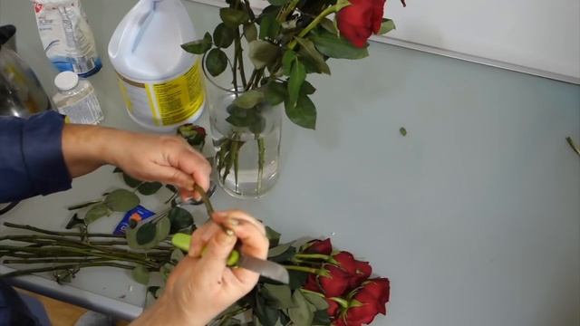Как оживить увядшие розы Таймлапс смотреть онлайн