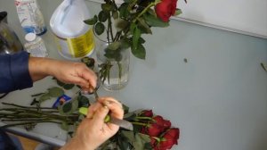 Как оживить увядшие розы Таймлапс