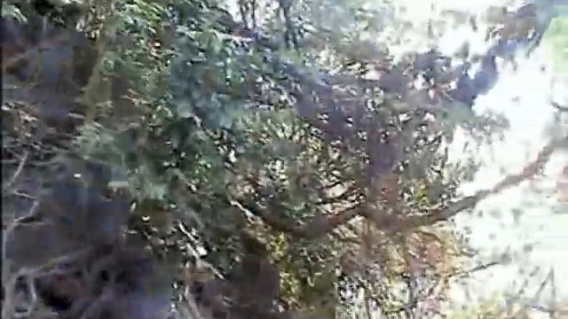 На фото Охоту смотреть онлайн