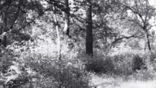 ##Стихи Сергея Есенина## смотреть онлайн