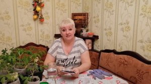 ФИТОСПОРИН - М. КАК ПРАВИЛЬНО РАЗВЕСТИ! (ШПАРГАЛКА)