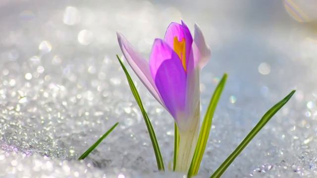 Весна Приходит!😄 смотреть онлайн