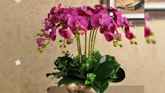 Beautiful and really cute latest phalaenopsis flower arrangements ideas part 1 смотреть онлайн