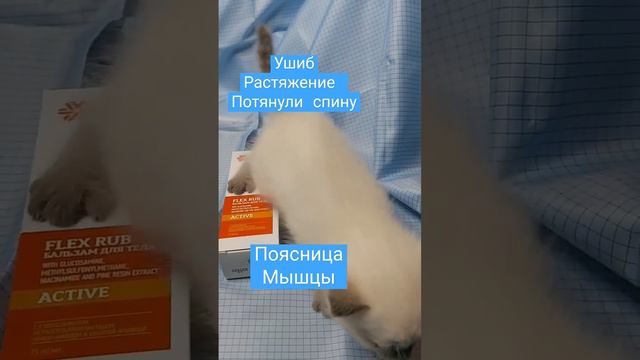 Болит поясница, потянул мышцы, растяжение. Читай комментарии смотреть онлайн