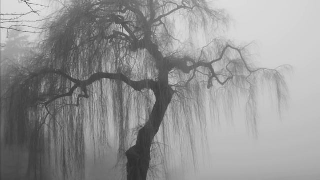 The Moody Blues-Melancholy Man With Lyrics