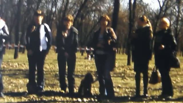 Подготовка собак к выставке: семинар практикум 22.03.2014 (Кривой Рог) смотреть онлайн