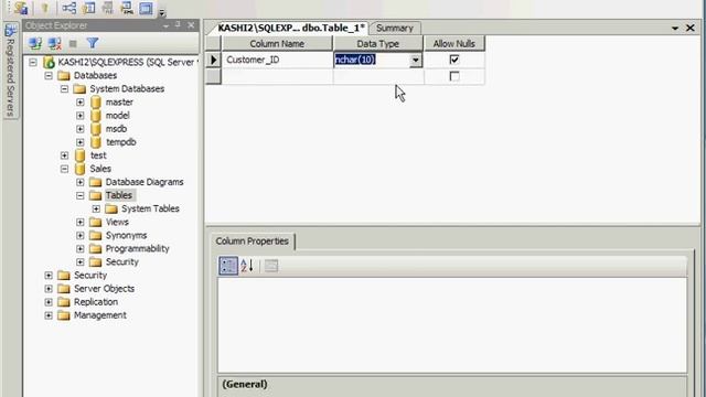 SQL Server 2005 Managment Studio Express - MS SQL Server смотреть онлайн