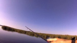 Ловля щуки в Сентябре . JACKALL RERANGE 110SP