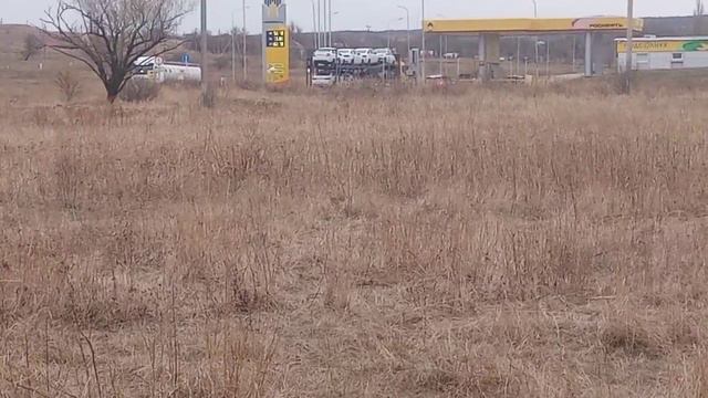 24 ноября 2023 г..mp4 смотреть онлайн