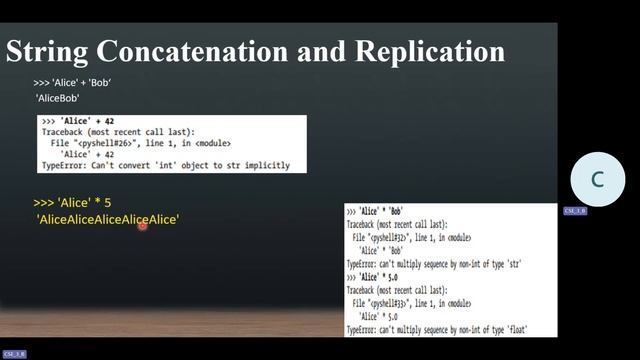 Python Programming Basics-1 смотреть онлайн