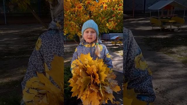 Стихотворение Е.Трутневой «Листопад» смотреть онлайн