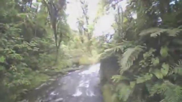 Flying a whoop through the jungle to dive a waterfall... [betafpv 65x] смотреть онлайн