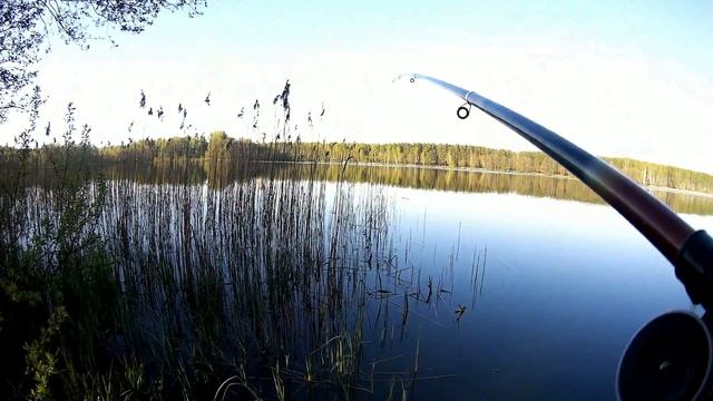 Весенняя ловля на боковой кивок, бычка-ротана и карася. Озеро «Срамное» п.Белоозёрский. смотреть онлайн