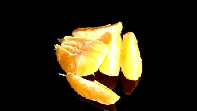 Устройство системы пищеварения человека