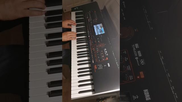 Besame mucho on korg pa4x смотреть онлайн