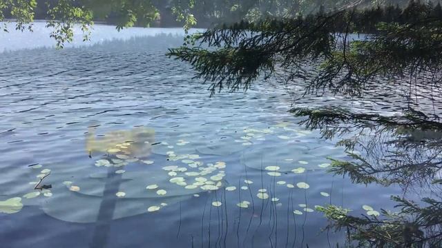 Стихи от сердца к сердцу. "Лёгкое мгновение" смотреть онлайн