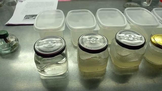 [17] Ускоряемся! +200 микроклонов земляники для наших экспериментов смотреть онлайн