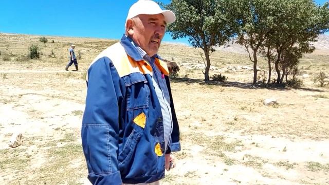 Элитная Гиссарская овцы 26 06 2020 года К/Х Нурзода / Гиссарский овцы / Гиссарский бараны смотреть онлайн