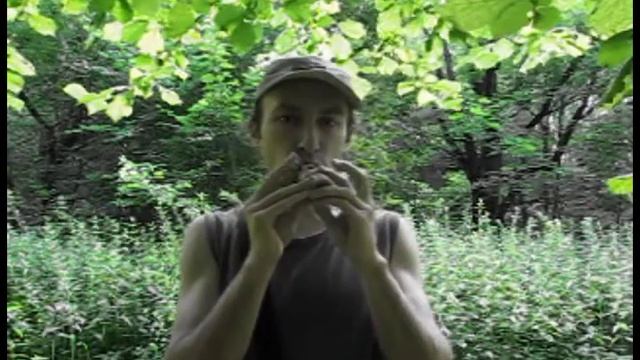 Окарина Дубовая тон F в лесу | Ocarine Oak tone F in the forest смотреть онлайн