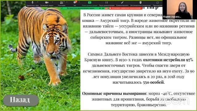 Бережем планету с Ламусом смотреть онлайн