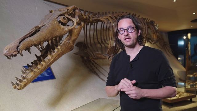 Geology Of The Amstel Gold Race