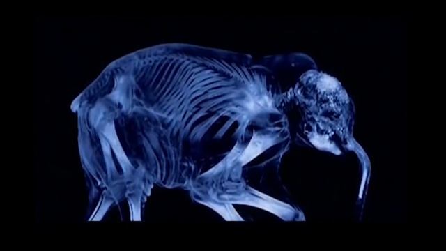 АПОКАЛИПСИС – ПРИЧИНЫ И ТАЙНЫ HD смотреть онлайн