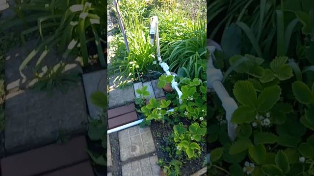 водоснабжение для полива на участке. смотреть онлайн