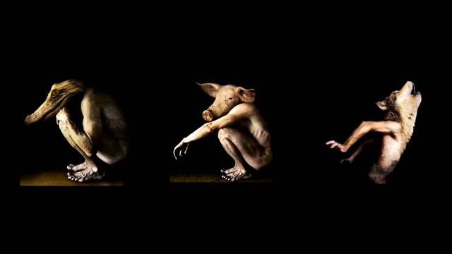 Альтернативный Миръ с Андреем Сажиным смотреть онлайн