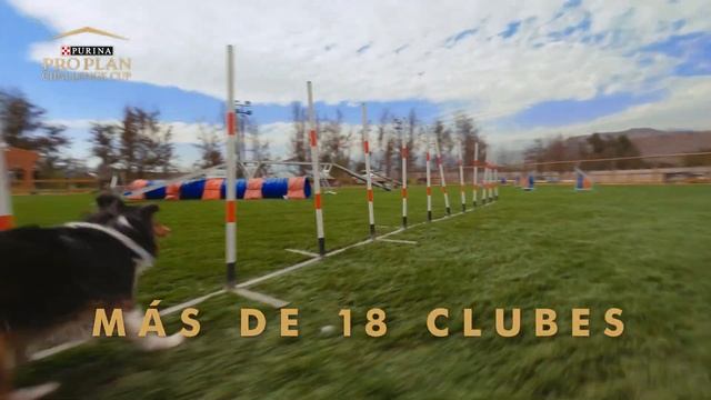 Purina® Pro Plan® Challenge Cup 2022 смотреть онлайн