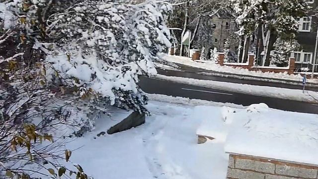 Neuhaus am Rennweg Video 1 am 29.11.2017 смотреть онлайн