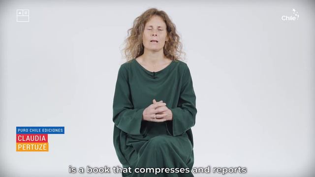 Puro Chile-Marcela Correa, Esculturas смотреть онлайн