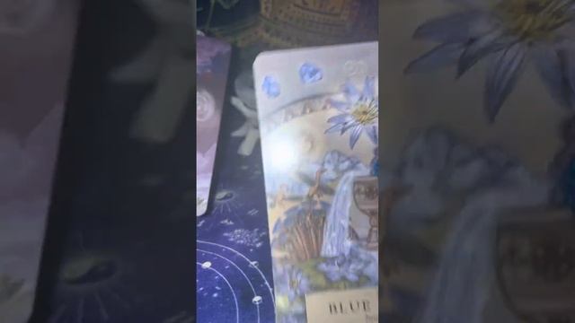 The herbal astrology oracle unboxing смотреть онлайн