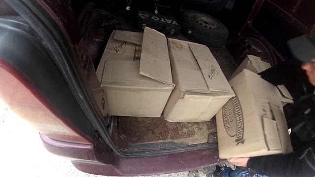 Праздник бездомным собакам смотреть онлайн