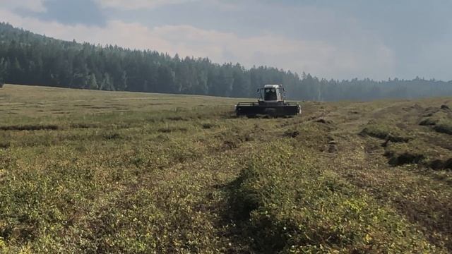 Уборка гороха смотреть онлайн