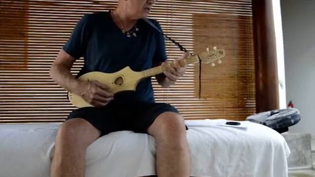 Feeling Good - Nina Simone cover - Seagull Merlin смотреть онлайн