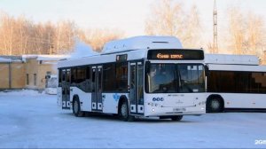 Автобусы Новосибирска 1-101