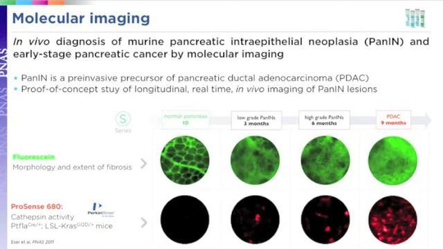 Webinar: Cellvizio Lab for preclinical research смотреть онлайн