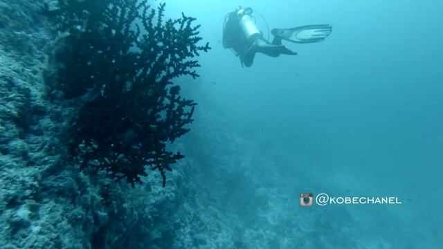 Maldives Lux and Baros смотреть онлайн