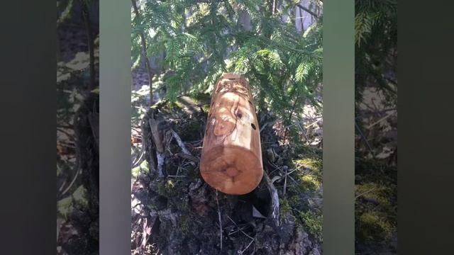 Рождение новой акарины??с низким строем А(ля)220,8HZ???Материал ель,???вощёная и пропитана л