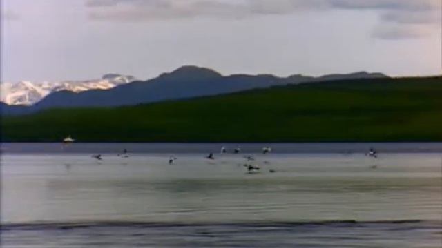 Реченька любимая )))Lake.wmv смотреть онлайн