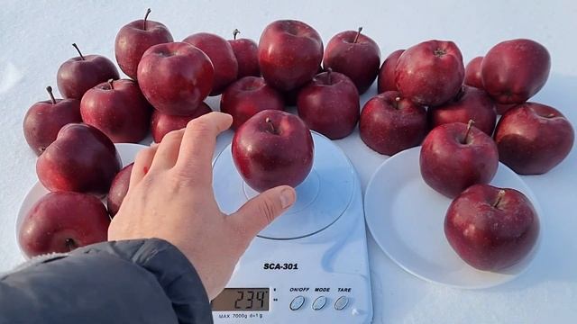 APPLE JEROMINE / ЯБЛОНЯ ЖЕРОМИНЕ смотреть онлайн